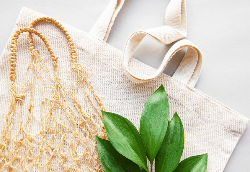 3 Sustainable Swaps to Help You Waste Less - Salt of the Earth Natural Deodorants